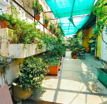 Terrace garden