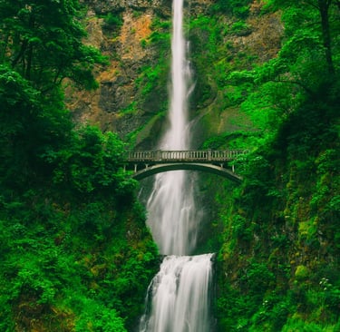 Water: The Flow State of Mastery -7th newsletter edition