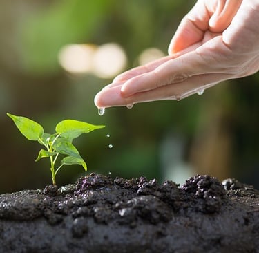 Earth: Rooted in Reality - 8th newsletter edition
