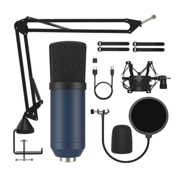 a microphone and microphone set up with a microphone