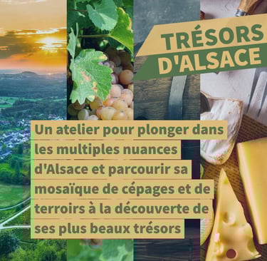 vins alsace cours oenologie lyon