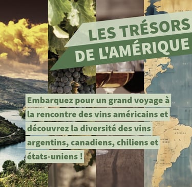 vins américains cours oenologie lyon on veille au grain