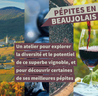 cours oenologie vin beaujolais