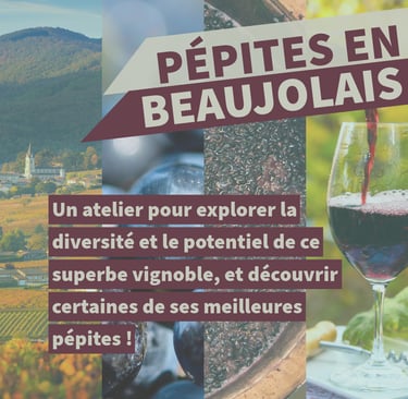 pépites en beaujolais cours oenologie lyon on veille au grain