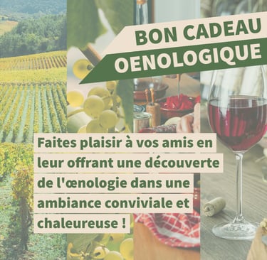 bon cadeau oenologie lyon