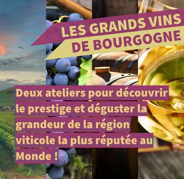 grands vins bourgogne cours oenologie lyon