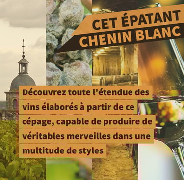 cours oenologie chenin loire