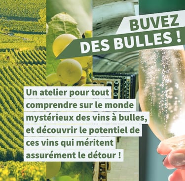cours oenologie vins effervescents bulles champagne