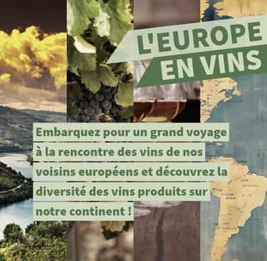 vins européens cours oenologie lyon on veille au grain
