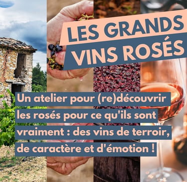 grands vins rosés dégustation cours oenologie lyon