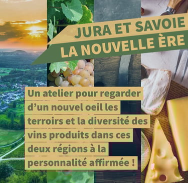 jura savoie vin cours oenologie lyon