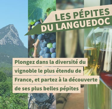 cours oenologie vin languedoc roussillon