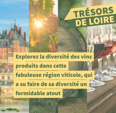 cours oenologie vallée de la loire