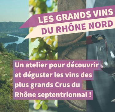 grands vins rhone nord cours oenologie dégustation lyon on veille au grain