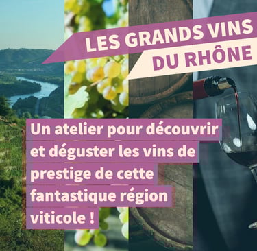 cours oenologie vin rhone