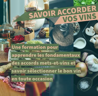 accords mets et vins cours oenologie lyon