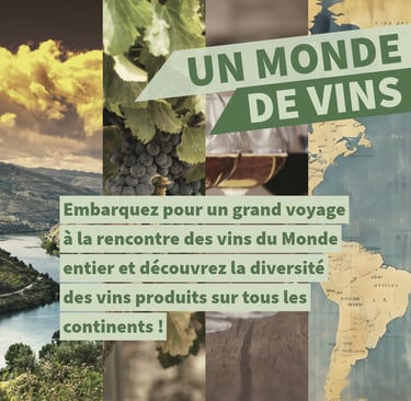 un monde de vins cours oenologie lyon on veille au grain