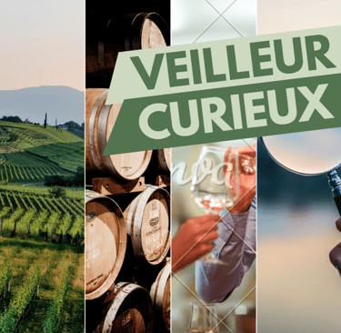 abonnement oenologie on veille au grain curieux lyon