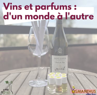 cours oenologie vins parfums