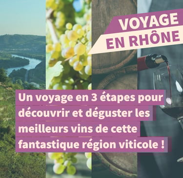 voyage rhone cours oenologie dégustation lyon on veille au grain