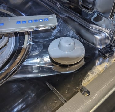 Stainless steel dishwasher showing overflow switch