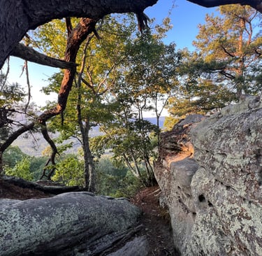 a rock formation on a rock formation in the woods