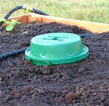 Close-up of an in-ground worm bin lid in a raised bed garden