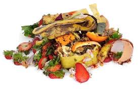 Kitchen food scrapes for worm composting