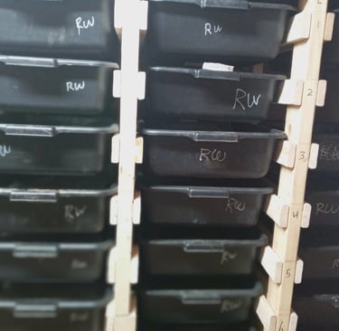 Open worm bins in rack