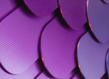 visibilidade de marca