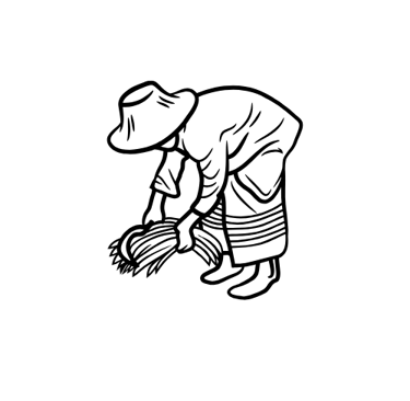 farming agricultire los cabos