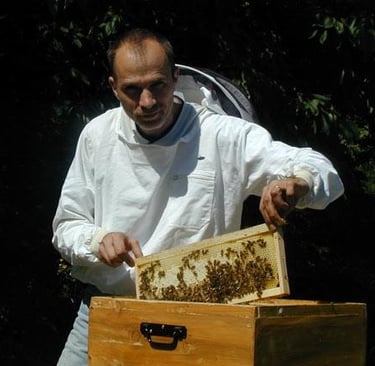 Les aventures de dides, apiculture, rucher, abeilles