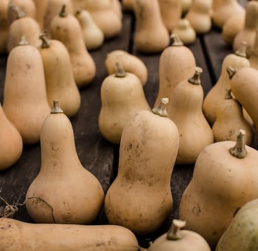 Freshly harvested organic butternut squash arranged on a rustic wooden table at a farm market.