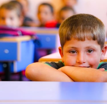 a boy sitting at a desk in a classroom, interactive 1st grade reading worksheets