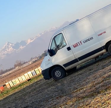 Furgone della Mieleria Garnero con apiario e montagne come sfondo