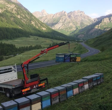 Gian Luca con il camiom gru che piazza le arnie in un prato di montagna
