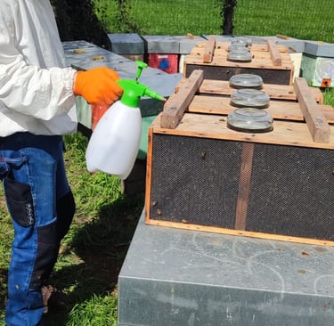 Gian Luca che vaporizza acqua sulle api nei pacchi d'ape con la tuta dell'apicoltore e la maschera