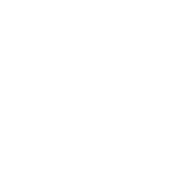 Our Team