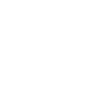 Our Branches