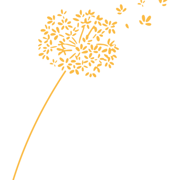 fleur jaune