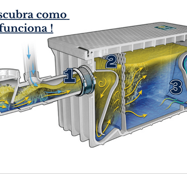 caixa de gordura