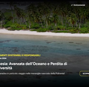 a beach with a boat in the water