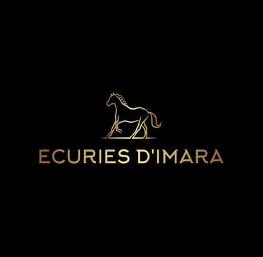 écuries d'Imara reconversion chevaux à vendre