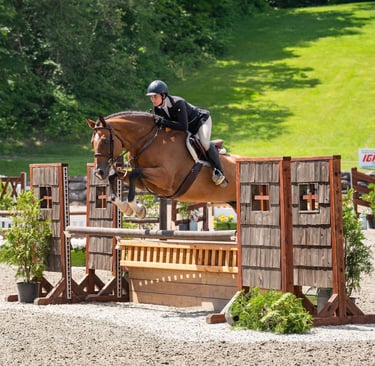 cavalo de l'enfer imported europe - hunter derby horse pre green