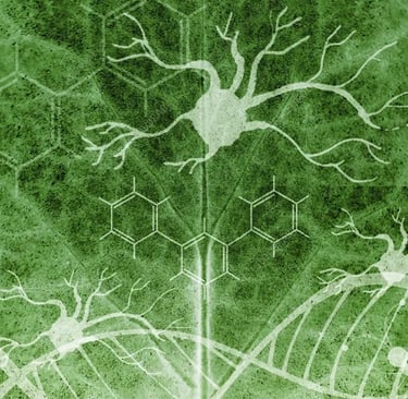 Green leaf overlay with neuron diagrams, DNA helix, and chemical structures for health AI