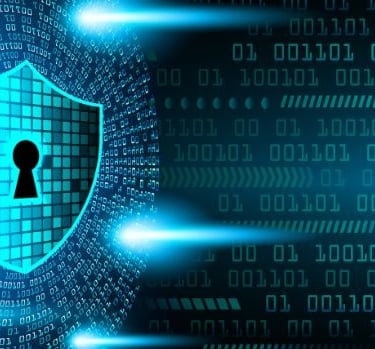 Cyber hygiene practices for employees