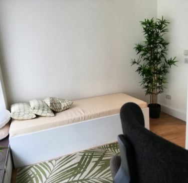 Therapy room with a couch.