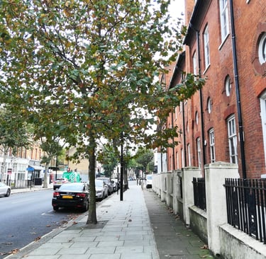 Street view by Institute of psychoanalysis.
