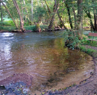 Small beach on the Yonne at Hotel Camping sur Yonne