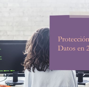 Riesgos en Protección de Datos 2025